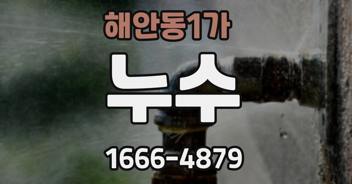 해안동1가 누수
