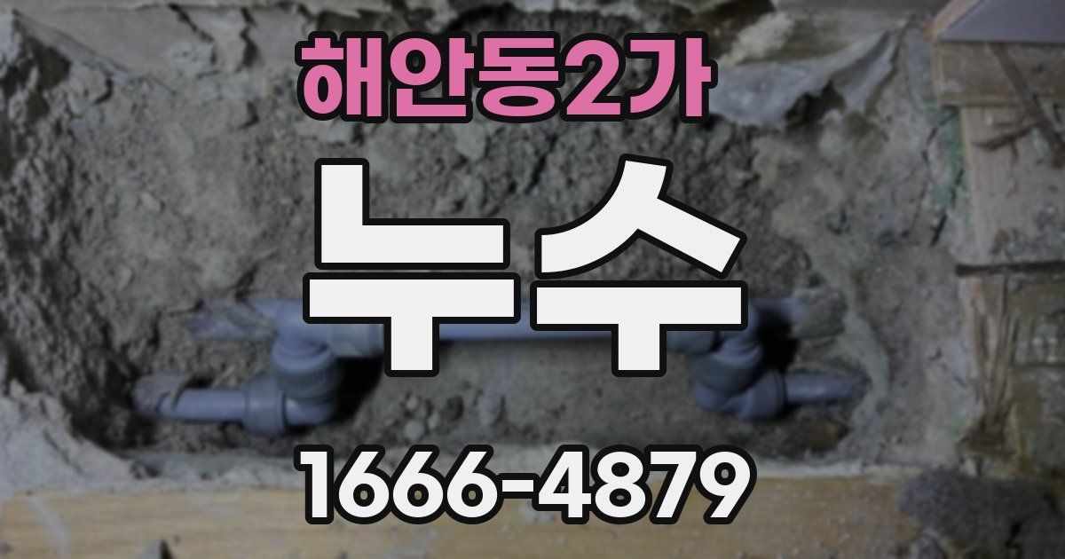해안동2가 누수