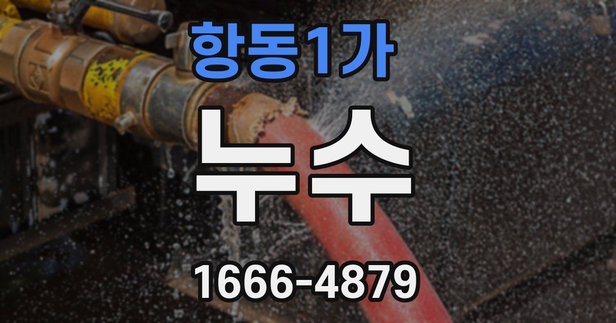 항동1가 누수