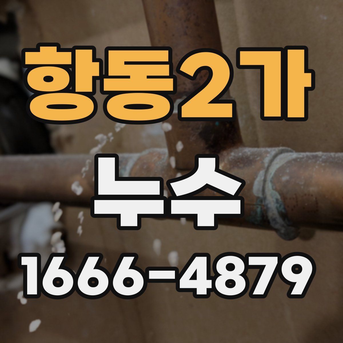 항동2가 누수