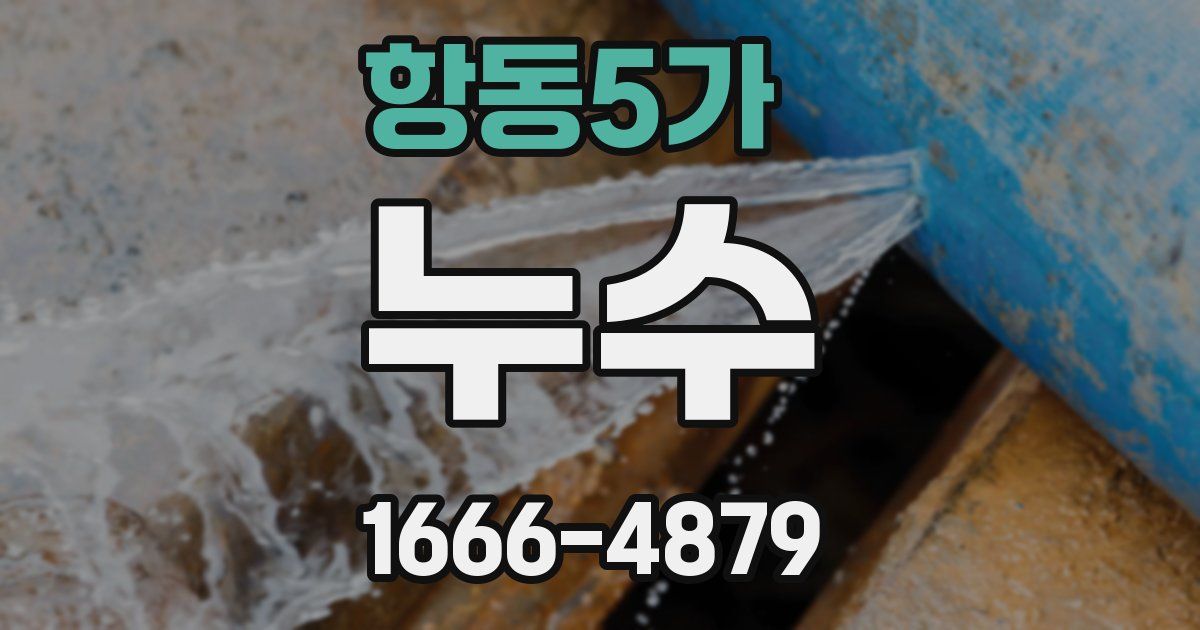 항동5가 누수