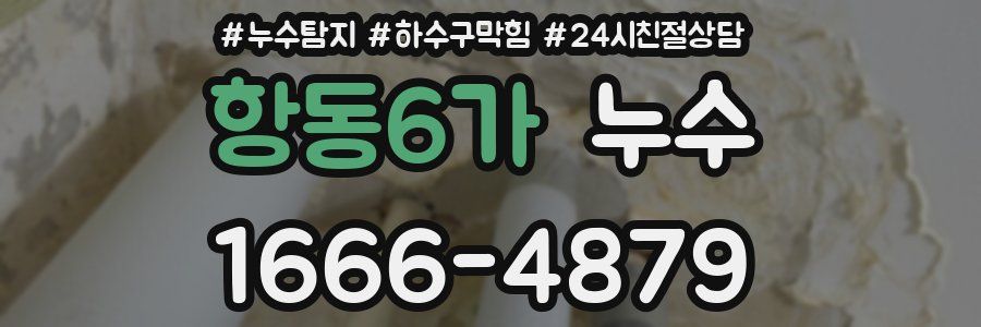 항동6가 누수