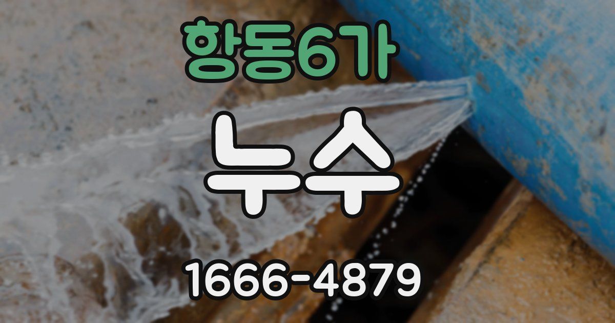 항동6가 누수