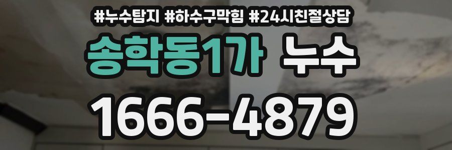 송학동1가 누수