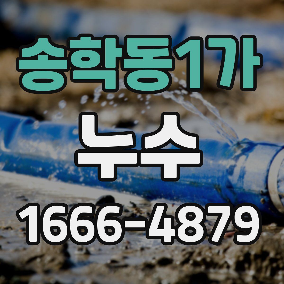 송학동1가 누수