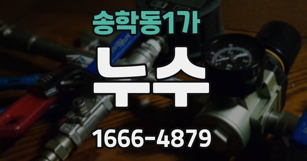 송학동1가 누수