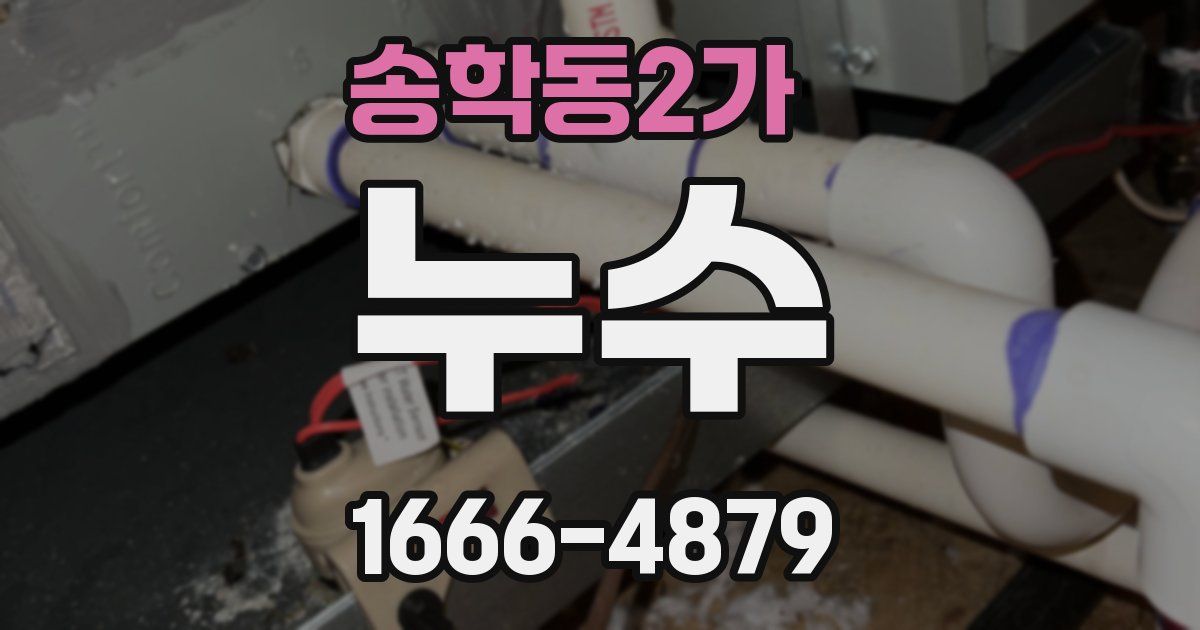 송학동2가 누수