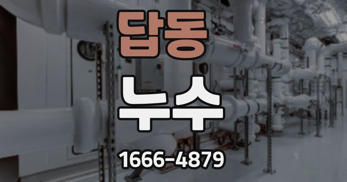 답동 누수