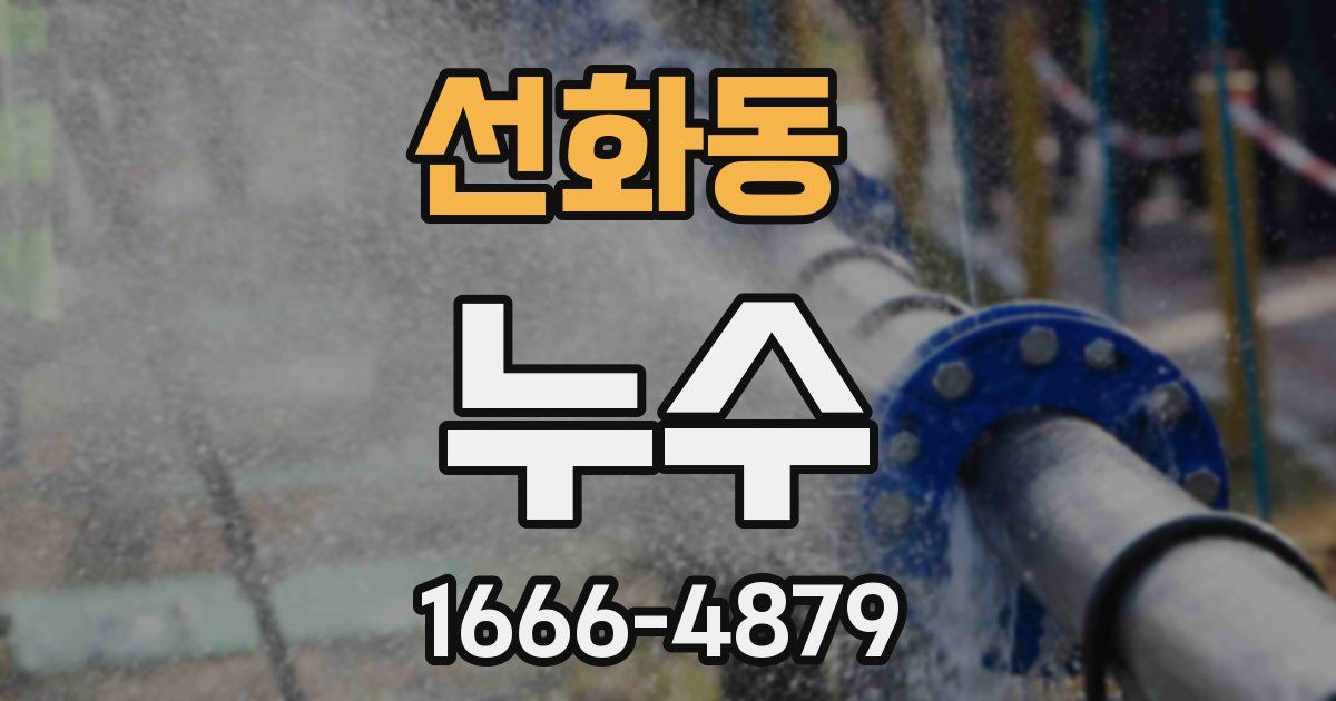 선화동 누수