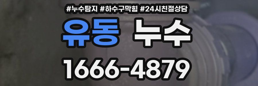 유동 누수