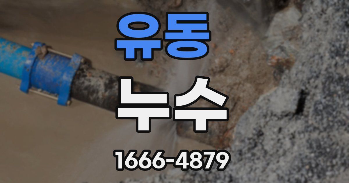유동 누수