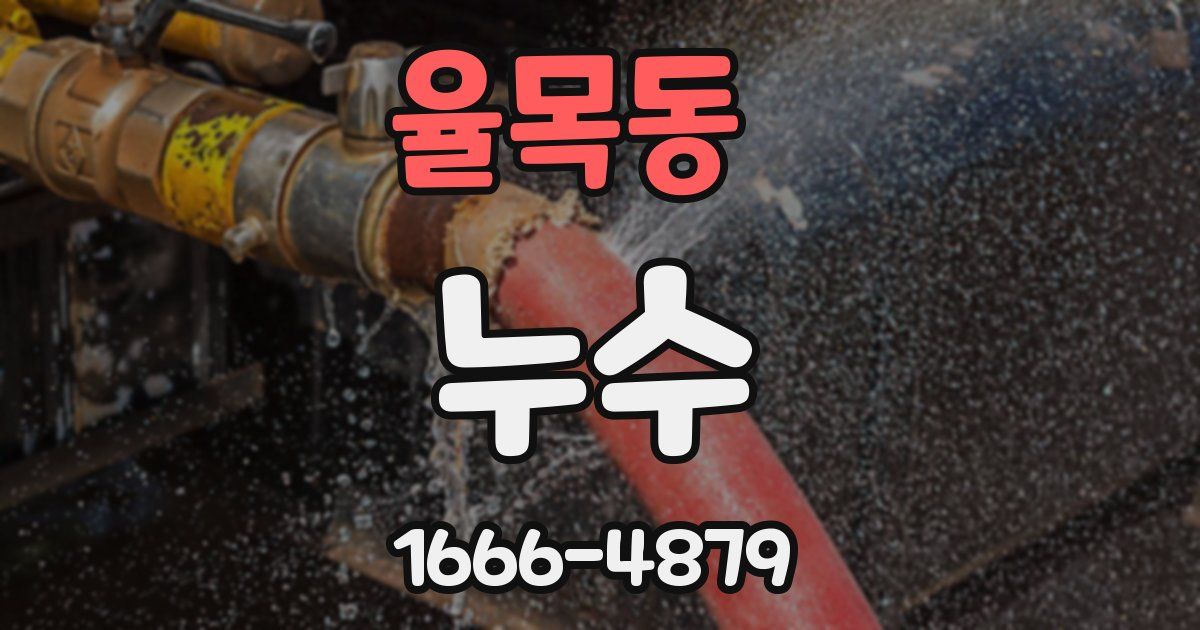 율목동 누수