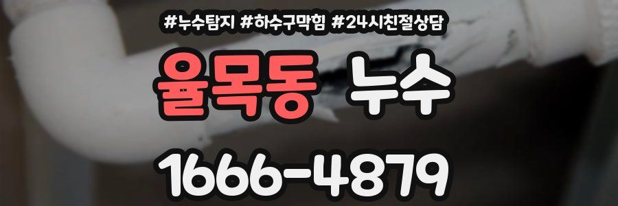 율목동 누수