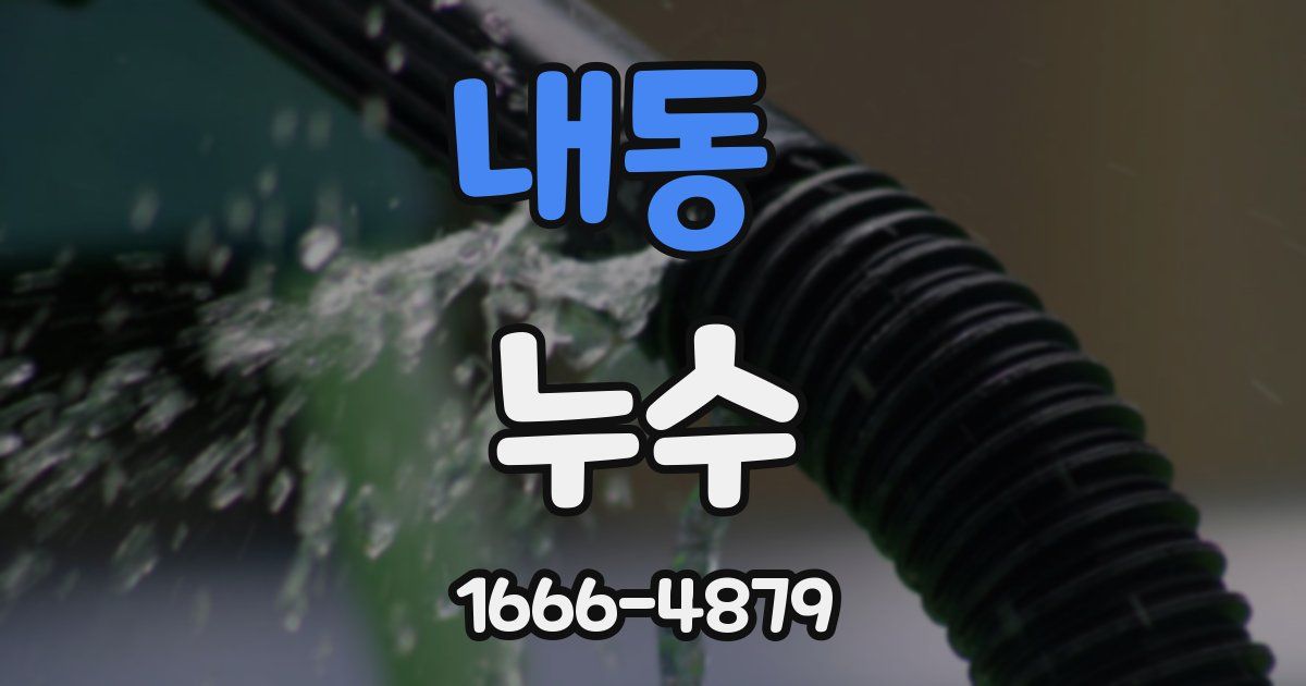 내동 누수