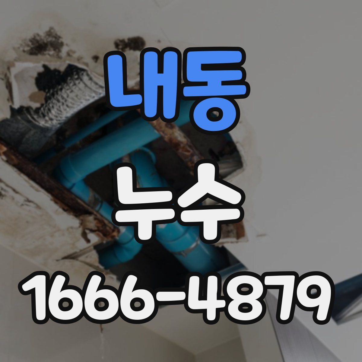 내동 누수