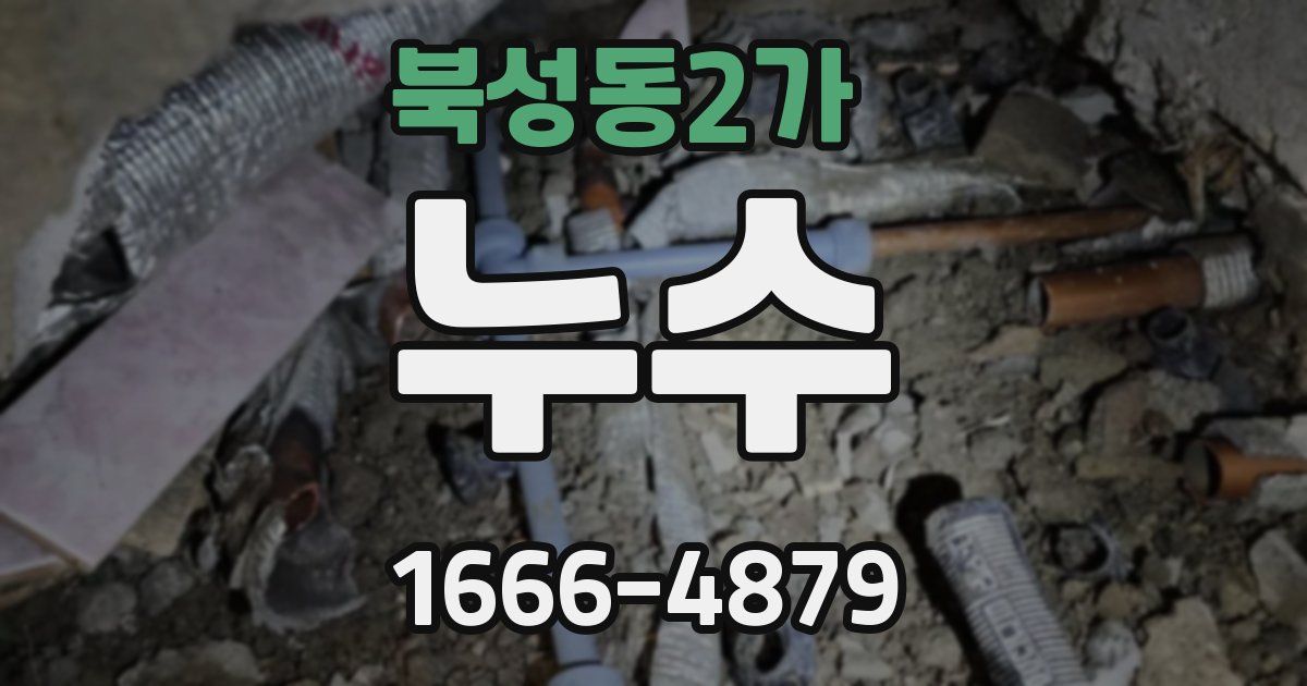 북성동2가 누수
