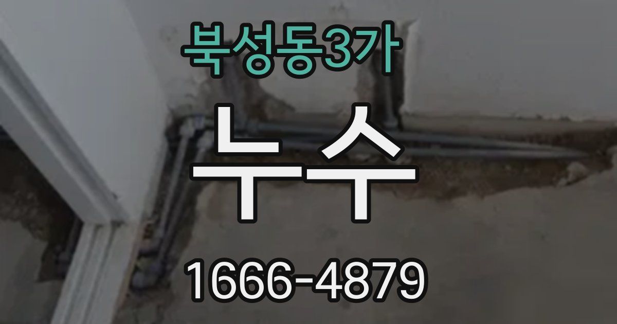 북성동3가 누수