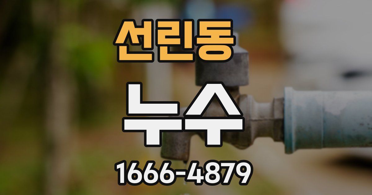 선린동 누수