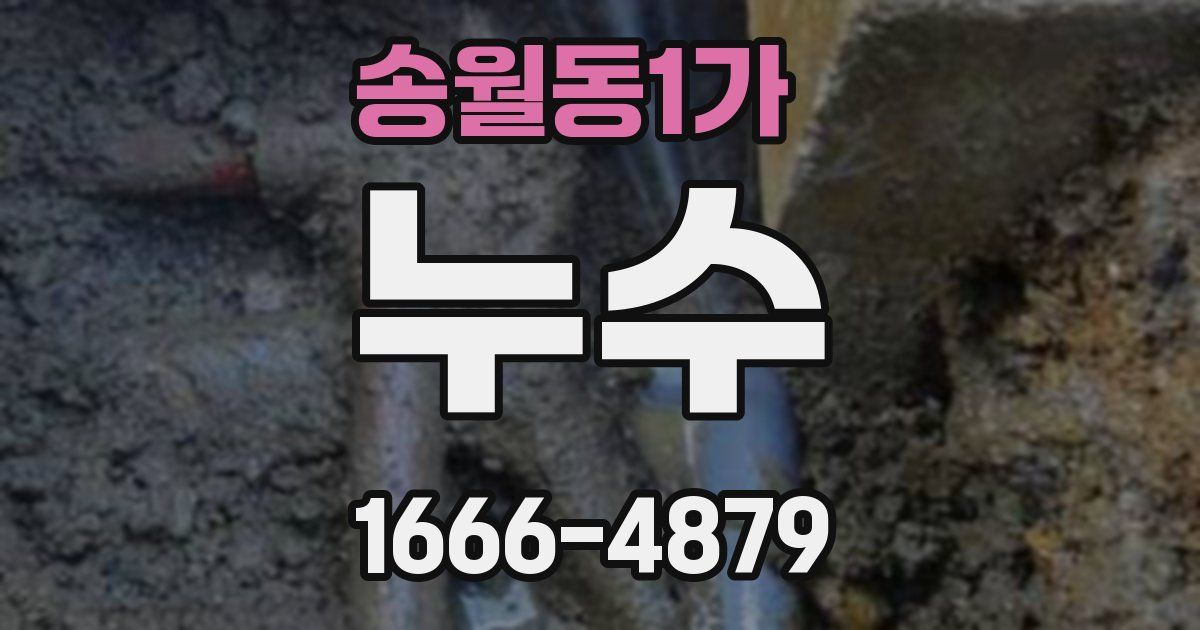 송월동1가 누수