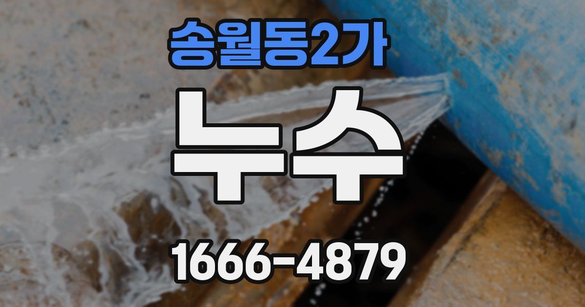 송월동2가 누수