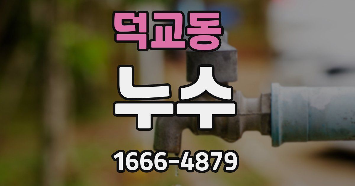 덕교동 누수