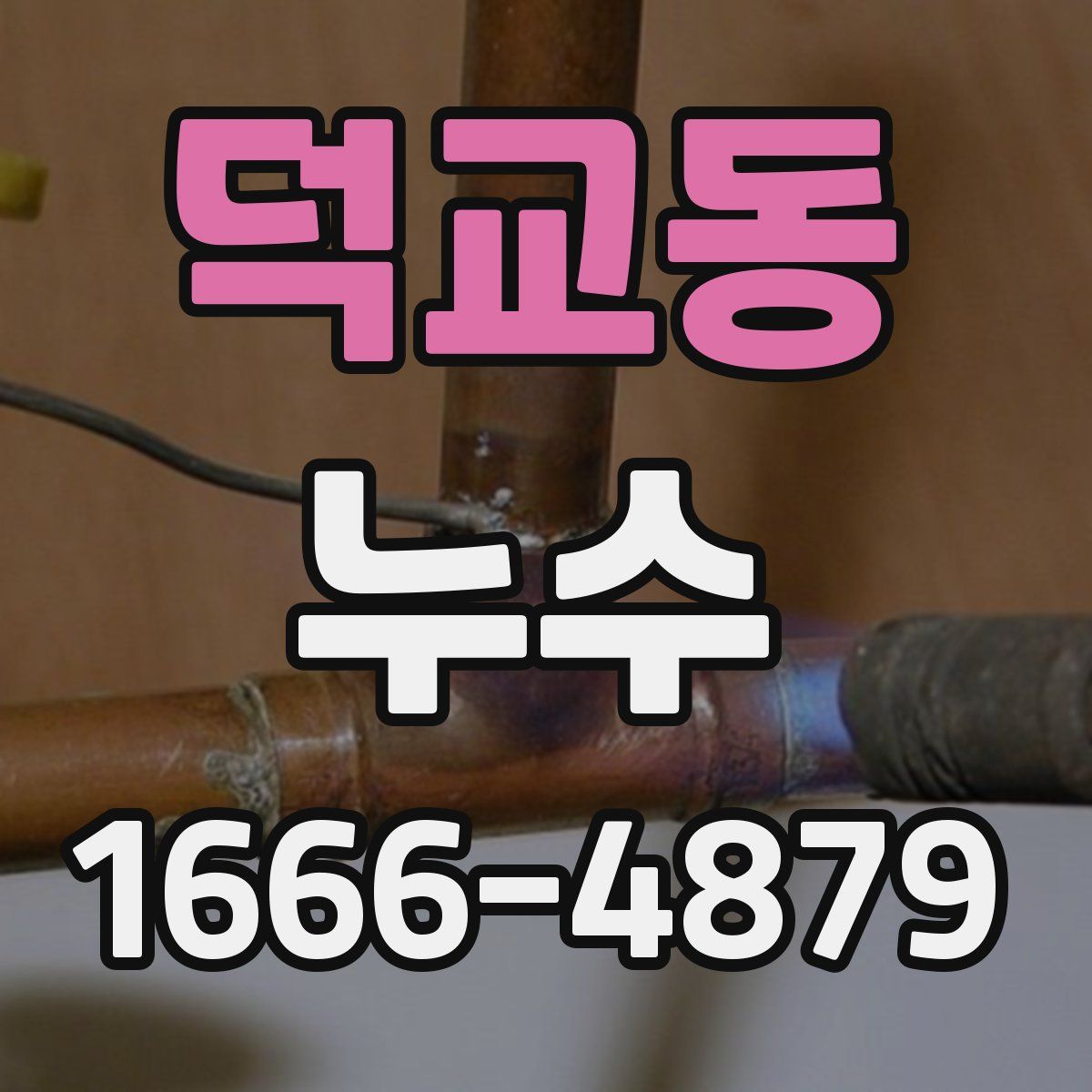 덕교동 누수