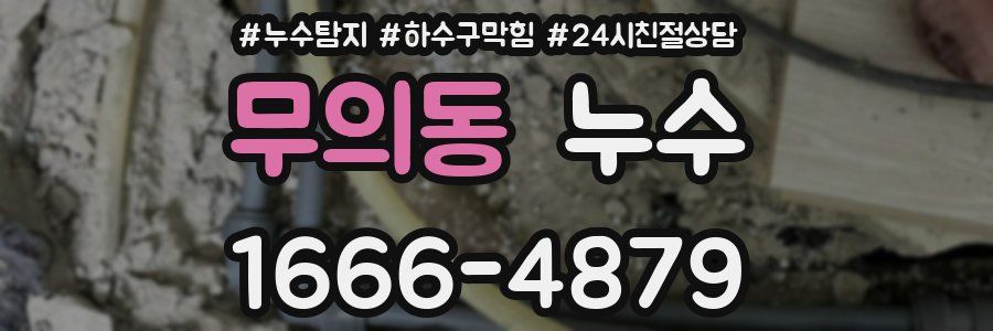 무의동 누수