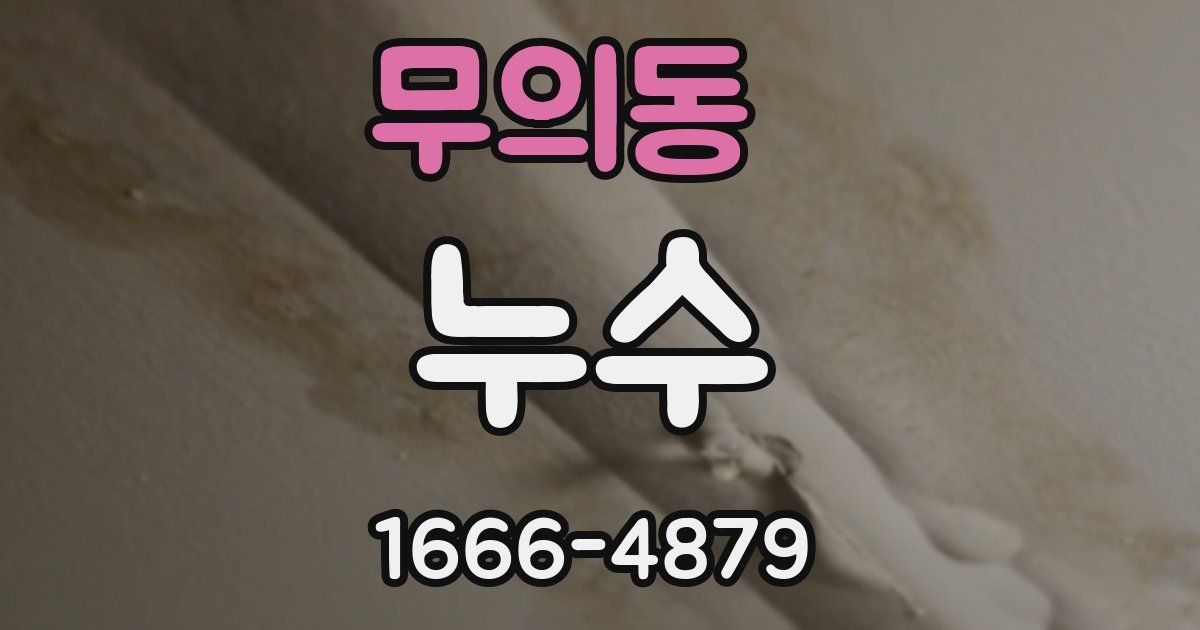 무의동 누수