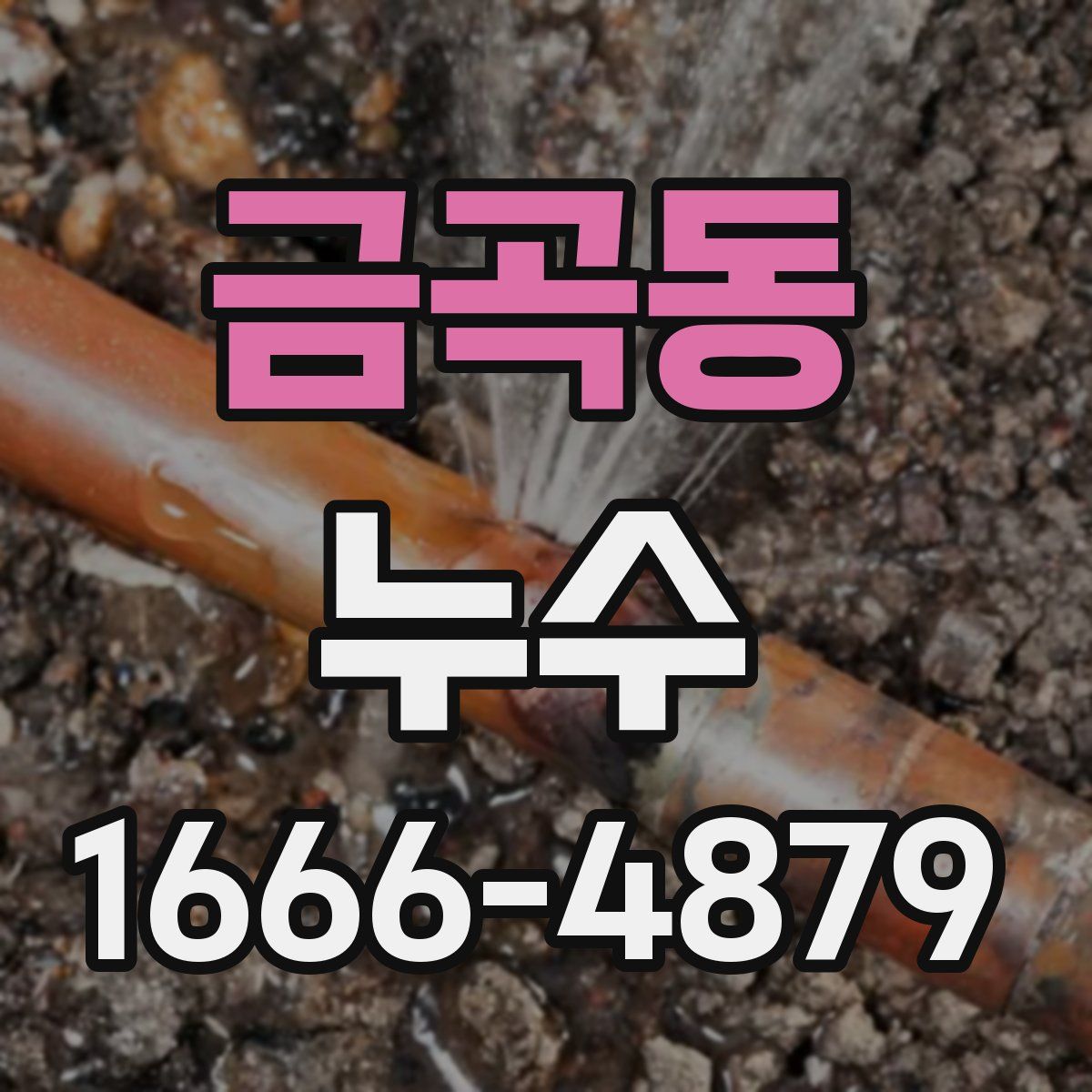 금곡동 누수