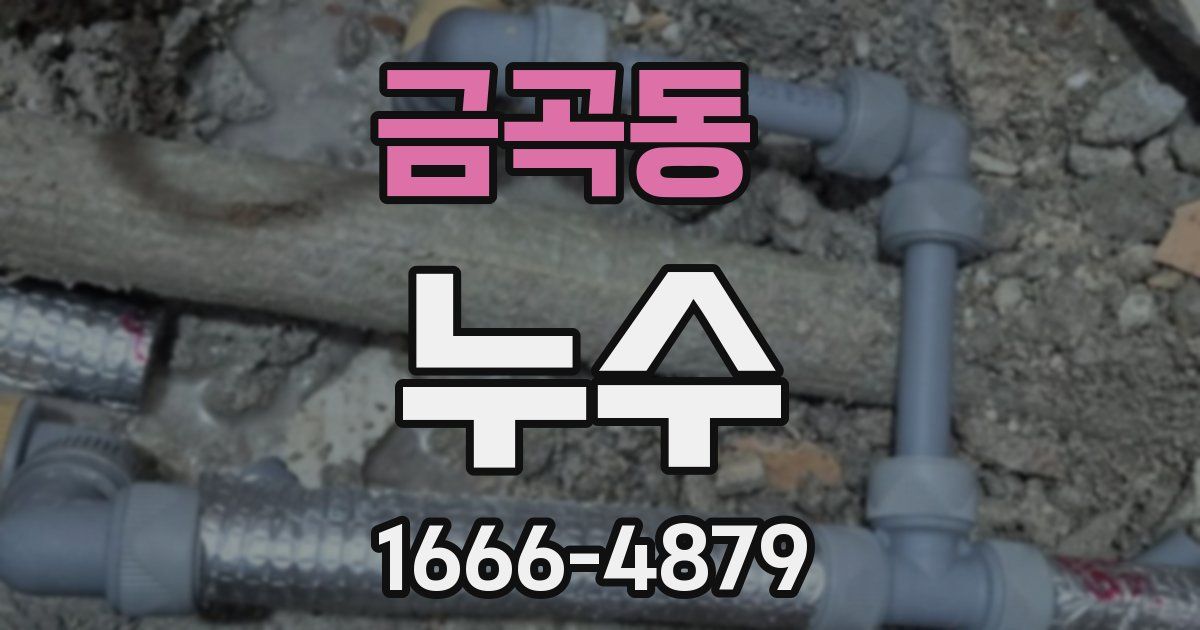 금곡동 누수