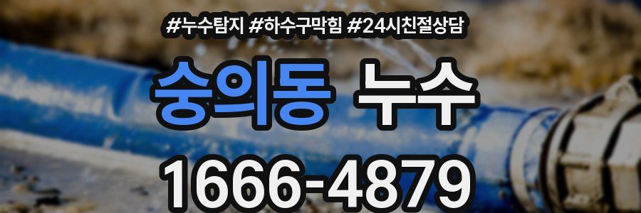 숭의동 누수