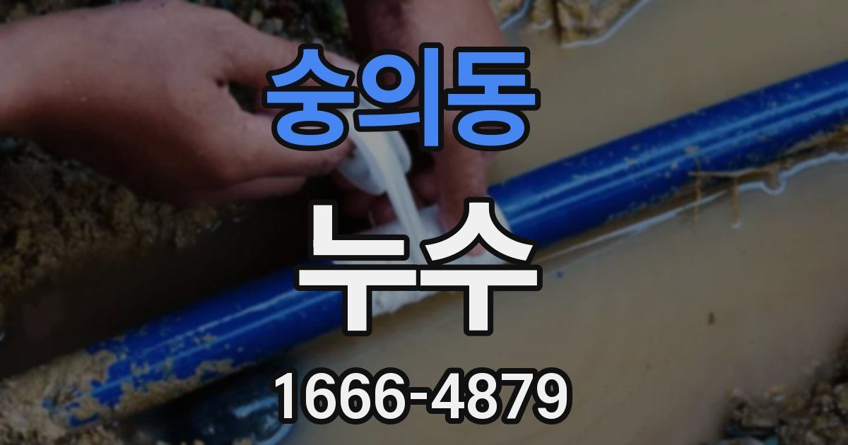 숭의동 누수