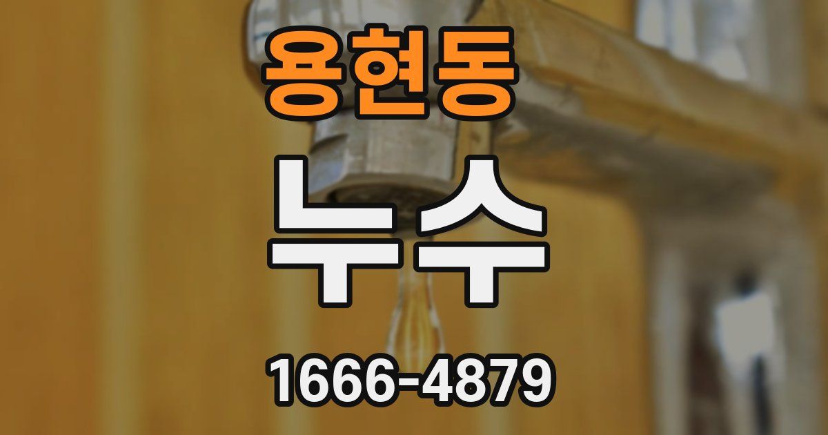 용현동 누수