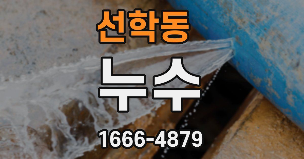 선학동 누수