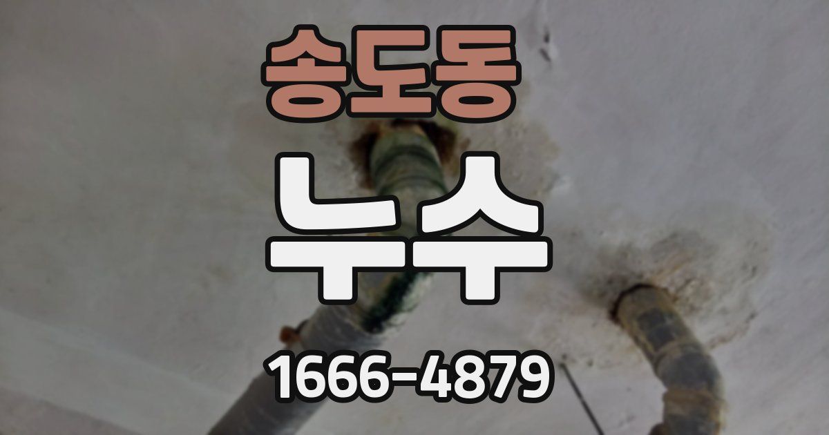 송도동 누수