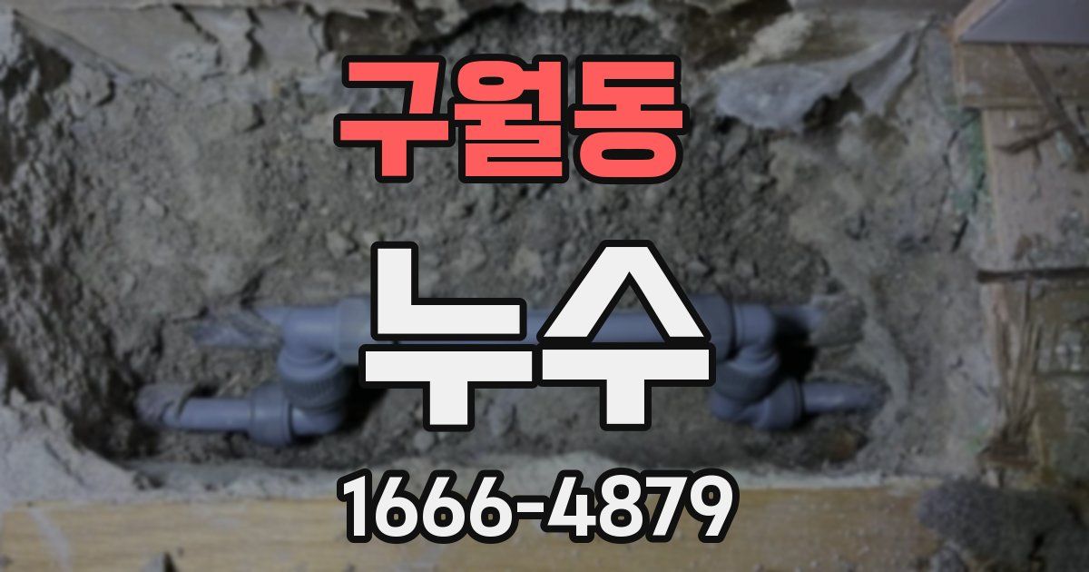 구월동 누수
