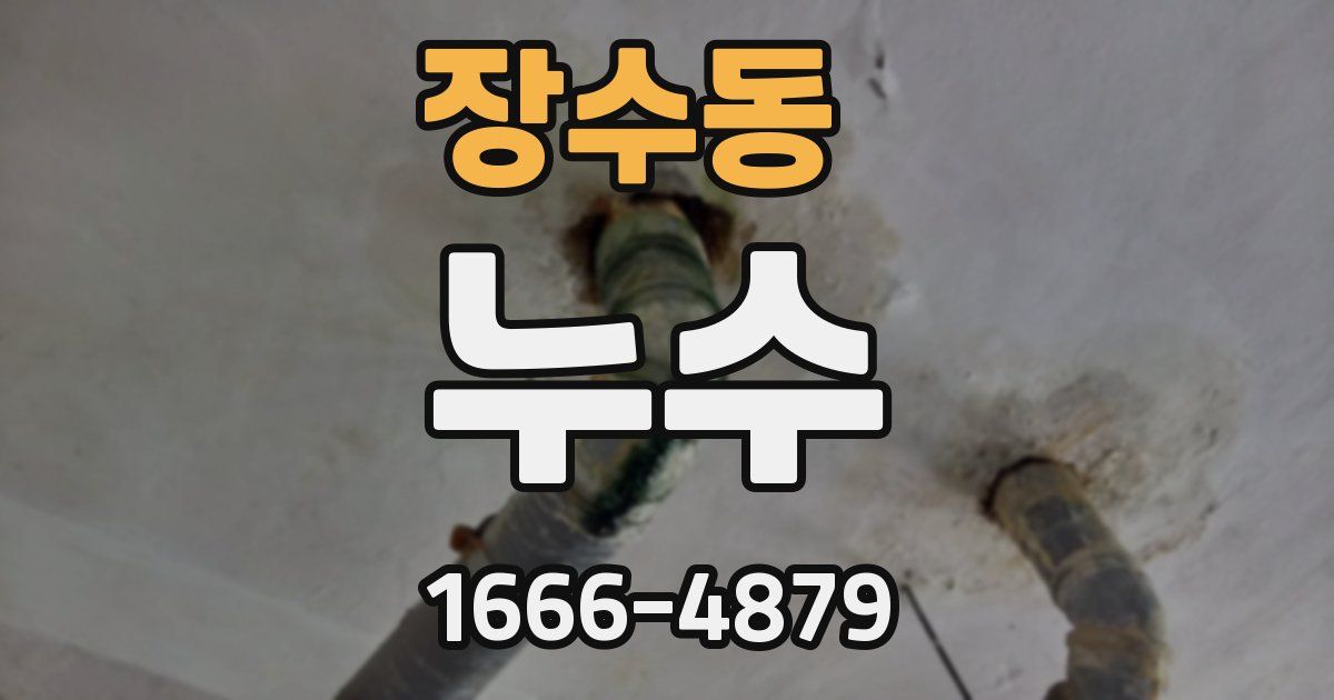 장수동 누수