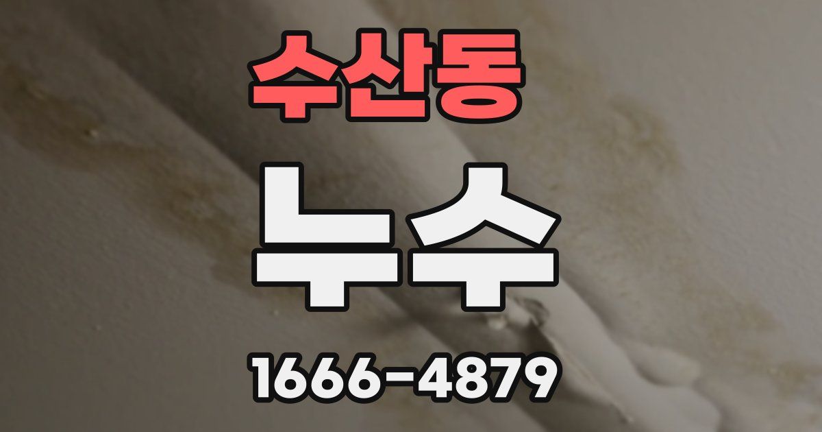 수산동 누수