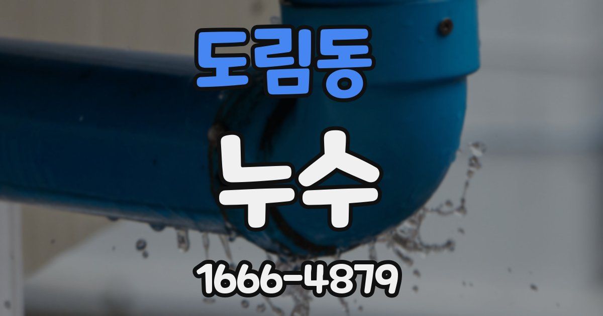 도림동 누수