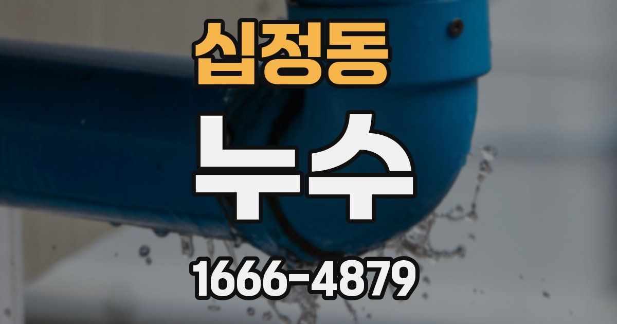 십정동 누수