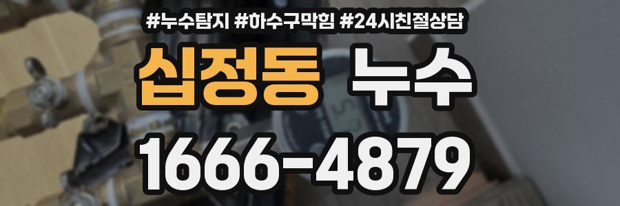 십정동 누수