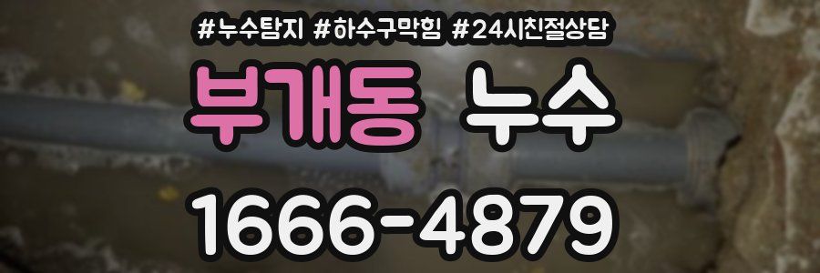부개동 누수