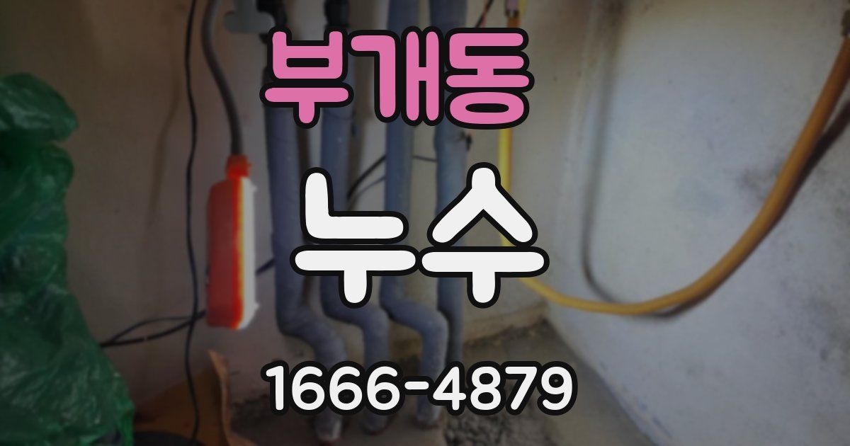 부개동 누수