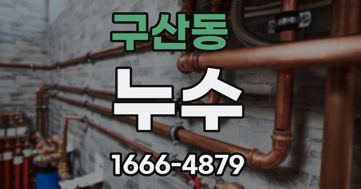 구산동 누수