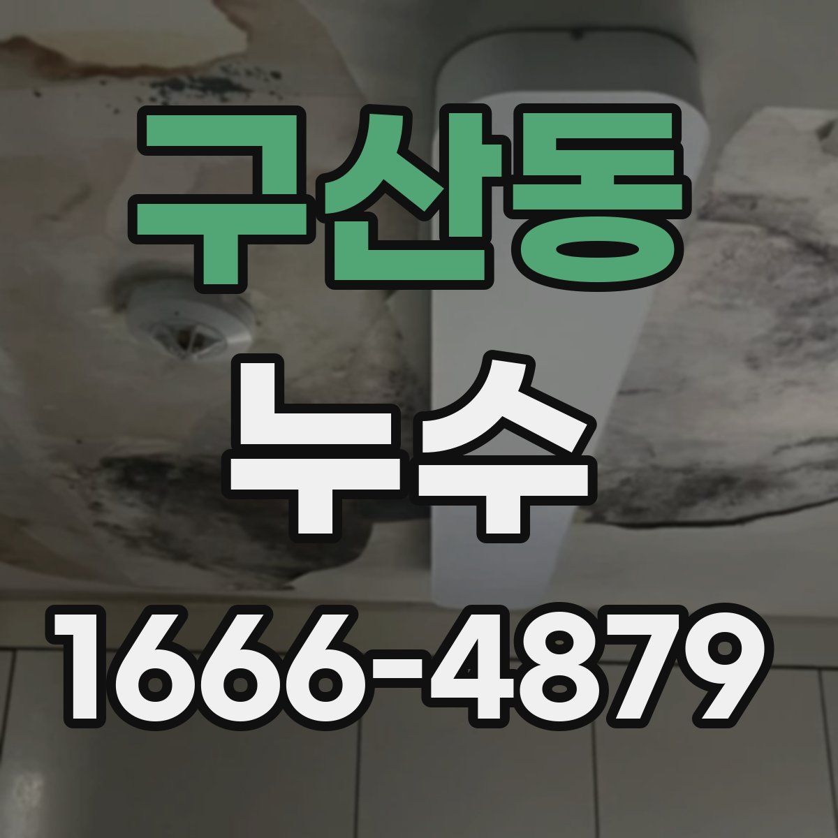 구산동 누수