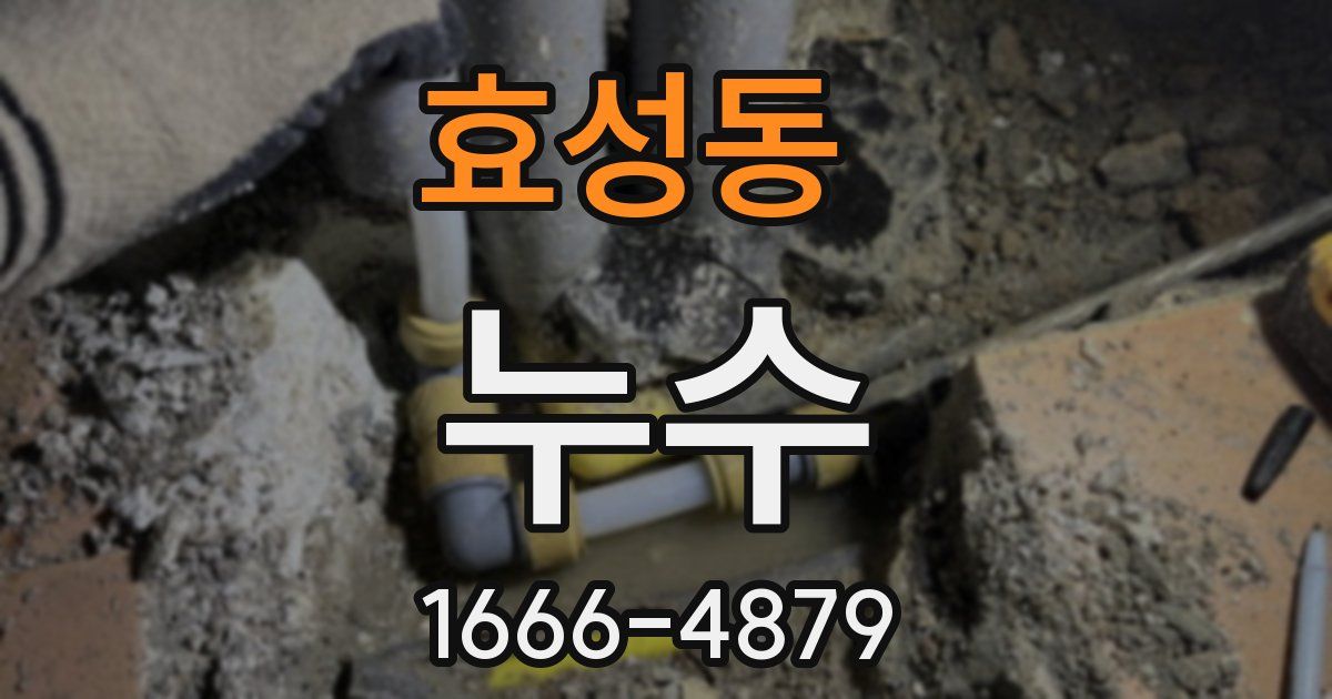 효성동 누수