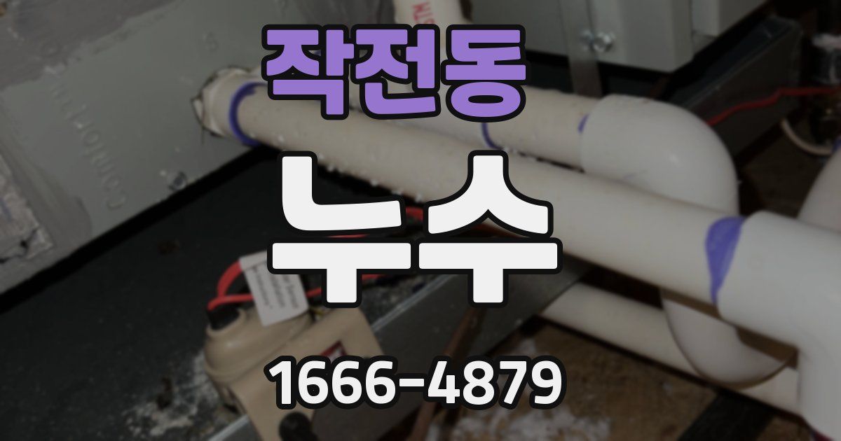 작전동 누수