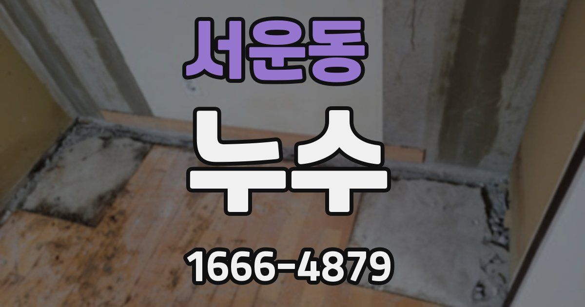 서운동 누수