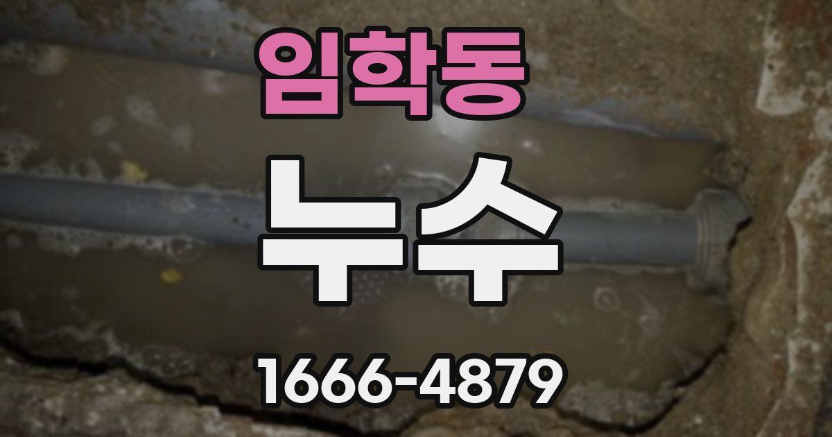 임학동 누수