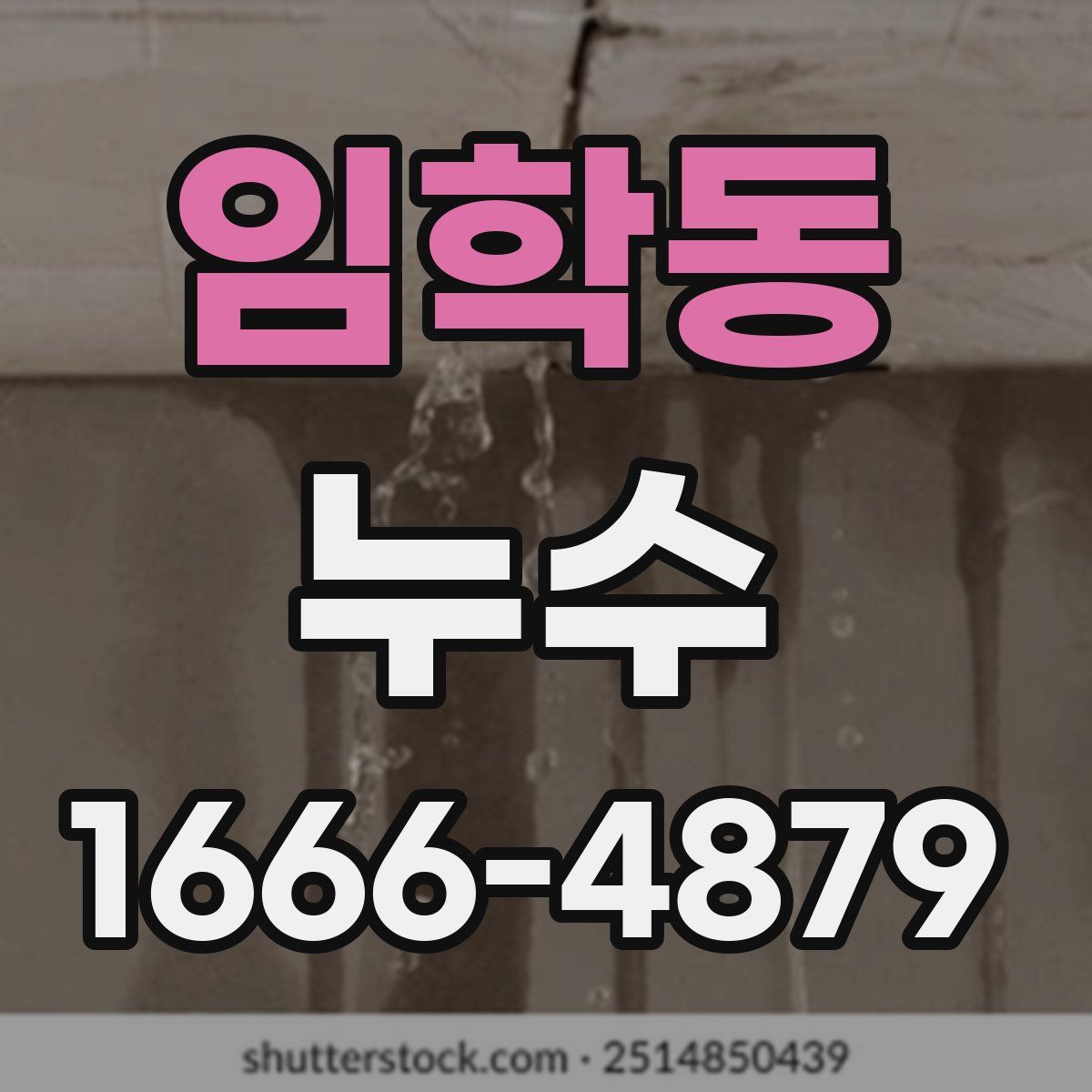 임학동 누수